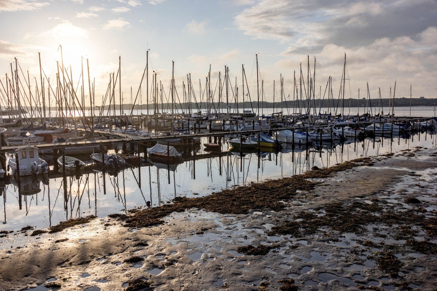 Die Sonne scheint auf einen Bootshafen an der Kieler Förde, aus dem das Sturmtief «Poly» das Wasser herausgedrückt hat, so dass die normalerweise mit Wasser bedeckten Ufer trocken liegen...